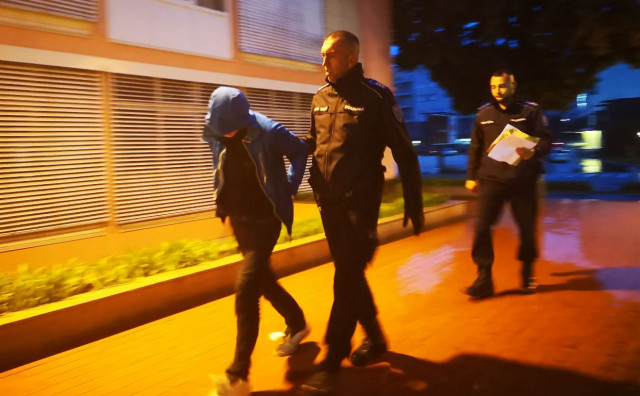 POZNATO TKO JE UKRAO KIP IZ PARKA Mostarac odranije poznat policiji predan Tužiteljstvu HNŽ