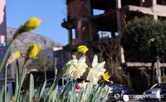 Konačno proljeće! Evo kad nam stiže željena stabilizacija i ugodnija temperatura