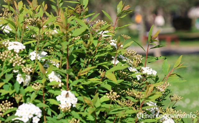 Vremenska prognoza za Mostar i Hercegovinu - 28.04.2026