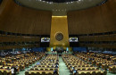 Vijeće UN-a