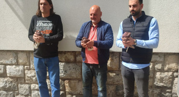 Aerodrom Trebinje performans