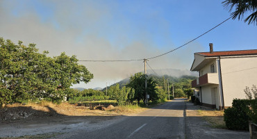 Požar Donja Jasenica