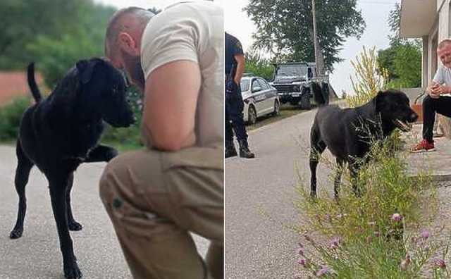 LIJEPE VIJESTI Pas Bleki dobio novu obitelj nakon stravičnog zlostavljanja u Livnu čija je snimka zgrozila javnost