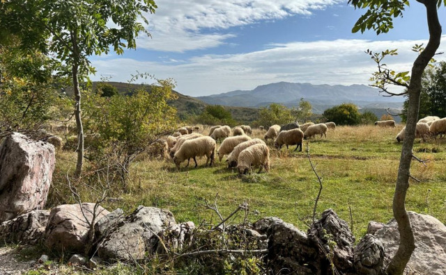 U BiH 500 PRAZNIH SELA Imamo potencijal za obnovu napuštenih mjesta, trebamo se ugledati na susjedstvo i hobitske kuće