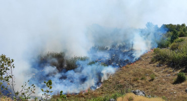 Požar Gacko