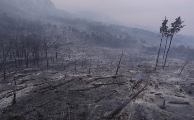 Park Biokovo u apokaliptičnim prizorima neprepoznatljiv nakon velikog požara