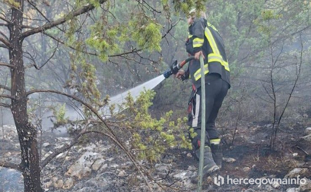 POŽAR IZMEĐU ČITLUKA I LJUBUŠKOG Na terenu više vatrogasnih ekipa