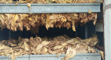 Duhan Široki Brijeg