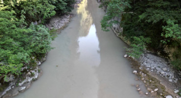 Ministarstvo RS traži istragu o pomoru ribe ispod HE 'Ulog' na Neretvi