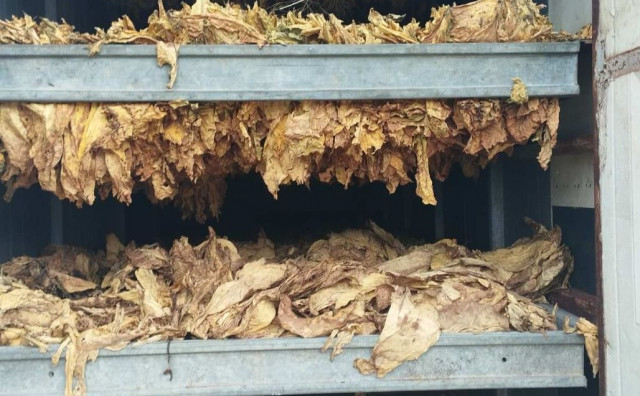 Duhan Široki Brijeg