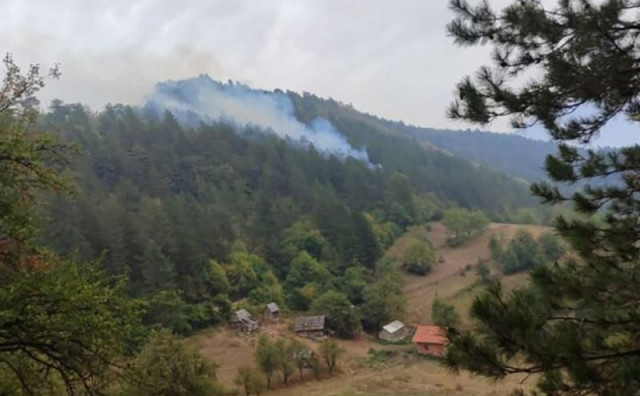 IZGORJELE TRI KUĆE Požar na istoku BiH proširio se iz šume u selo