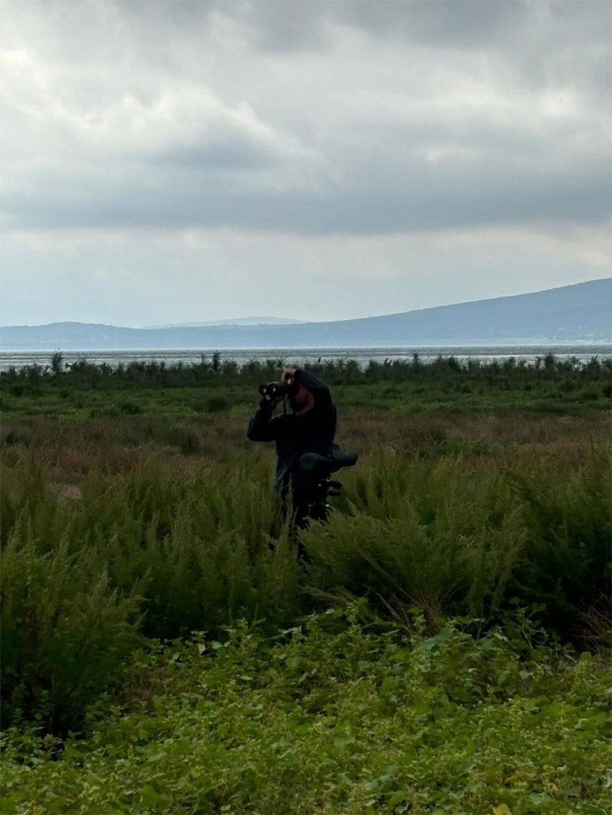 Birdwatching u Livanjskom polju