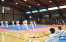 Magone livno taekwondo