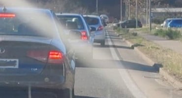Gužva ma M17