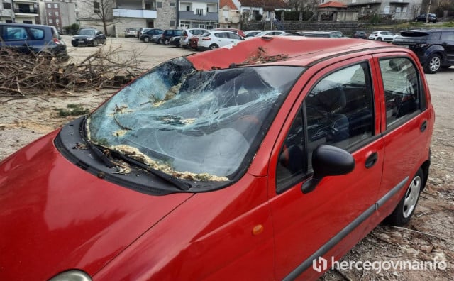 Jak vjetar oborio stablo u Trebinju, oštećeno nekoliko automobila