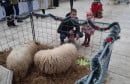 trebinje badnji dan