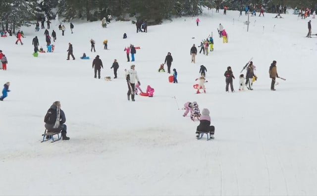 DALMATINCI NA KUPRESU 'Može se popiti i pojesti fino, nije skupo'