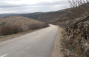Žegulja