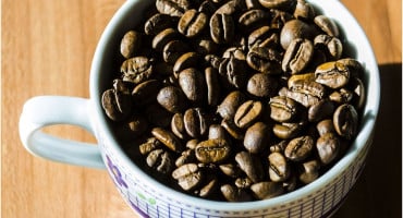 Kava