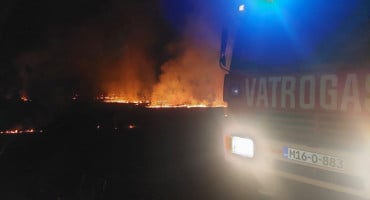 požar lištani/ilustracija