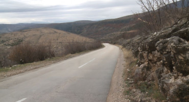 Žegulja