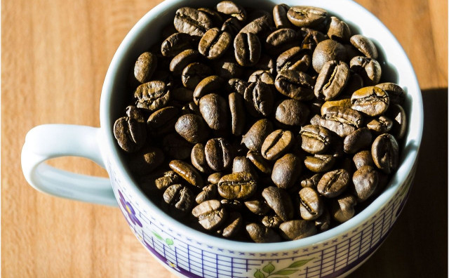 El Ninjo i klimatske promjene uzdrmali svjetsko tržište kave