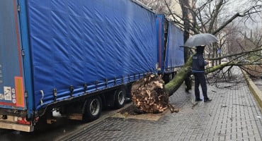 Kamion srušio stablo u Mostaru