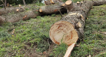 Uređenje park šume kod Studentskog centra Mostar