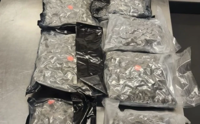 OTKRIO GA POLICIJSKI PAS 'Biznismen' iz BiH u Njemačkoj uhvaćen sa 5,3 kilograma droge