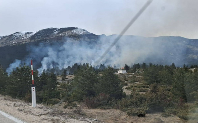POŽAR NA BLIDINJU Vatrogasci DVD-a Rakitno i Jablanice zajedničkim snagama obuzdali vatru