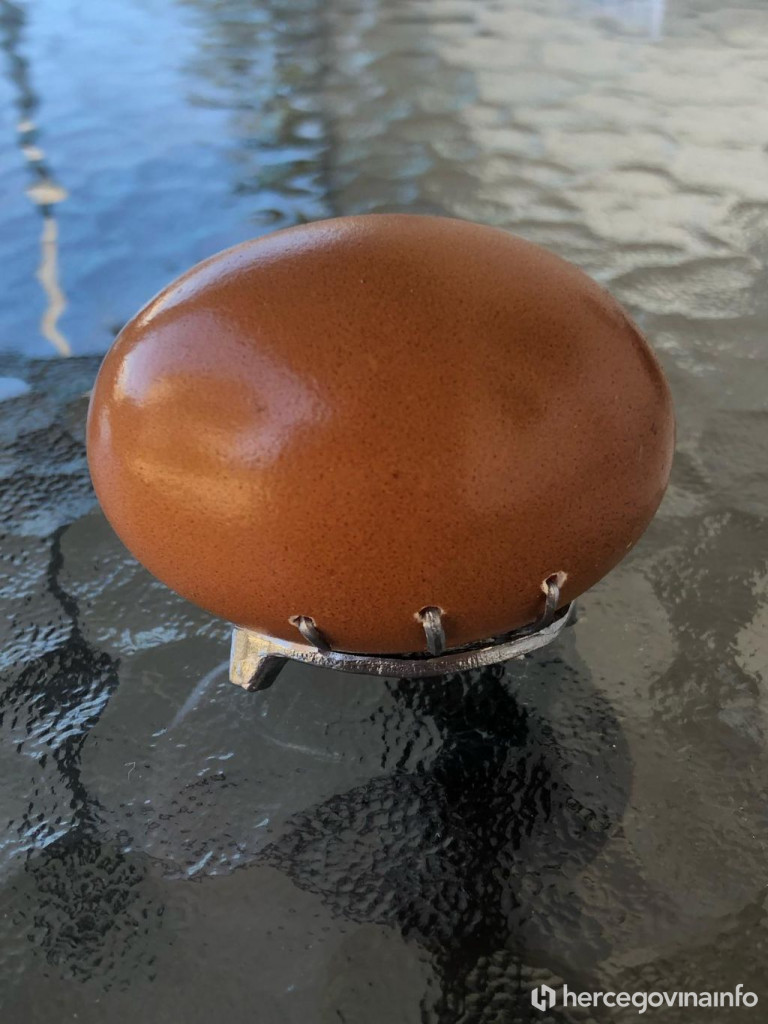 Mateo Ivičević potkivanje jaja