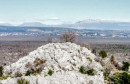 Družina GangoROhodci