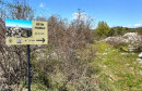 Družina GangoROhodci