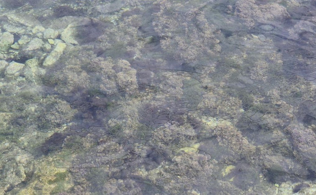 EKOLOŠKI INCIDENT Tone nafte završile u moru na Hvaru