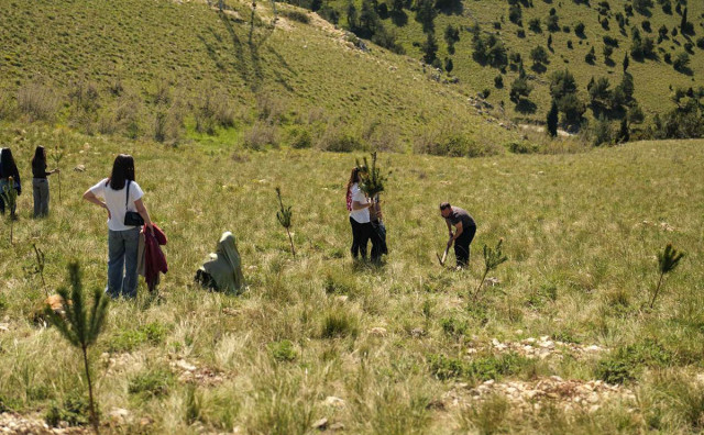AKCIJA POŠUMLJAVANJA Novih 100 sadnica posađeno na brdu iznad Mostara
