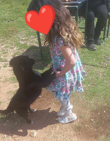Romske obitelji Radimlja, Stolac