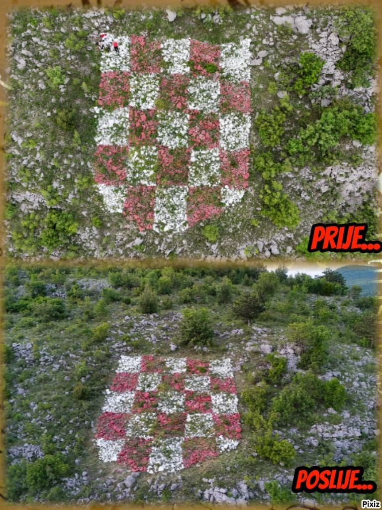 Šahovnica 