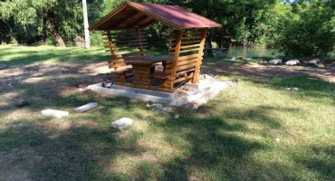 Bunica sjenice