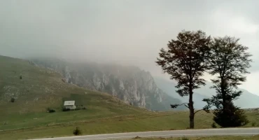 Medvjed napao muškarca na Vlašiću