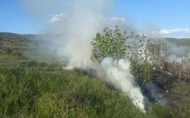 POŽAR U PODVELEŽJU Mostarski vatrogasci intervenirali nakon što je zahvatio travu i nisko raslinje