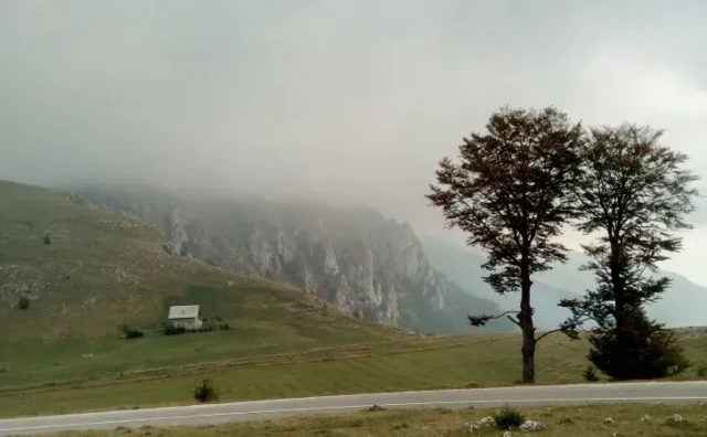 Medvjed napao muškarca na Vlašiću