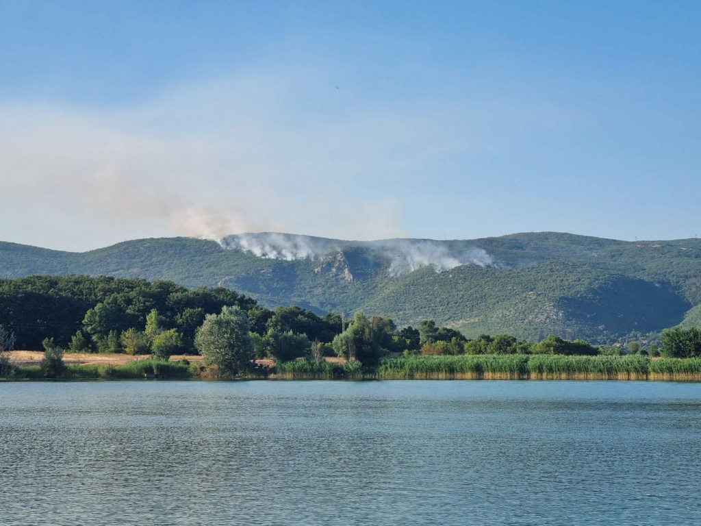 Požar Grude, Pejića draga