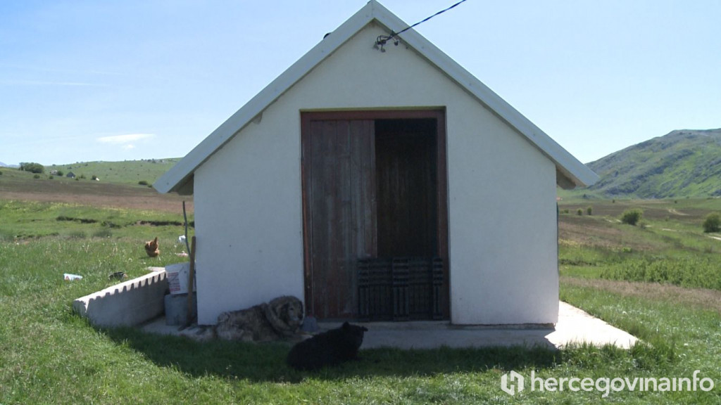 Tomislav Dragumilo stočar