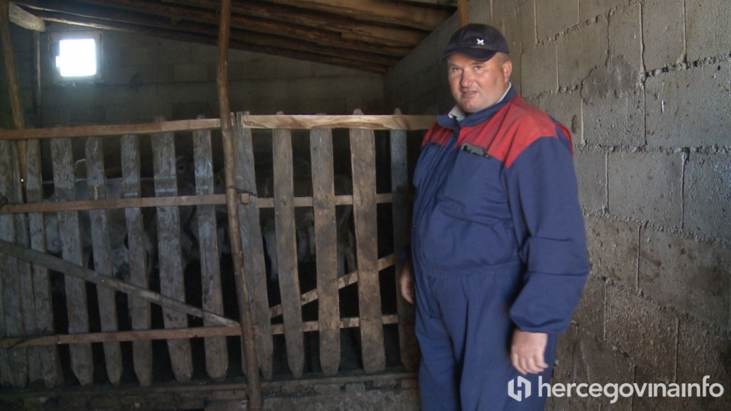 Tomislav Dragumilo stočar