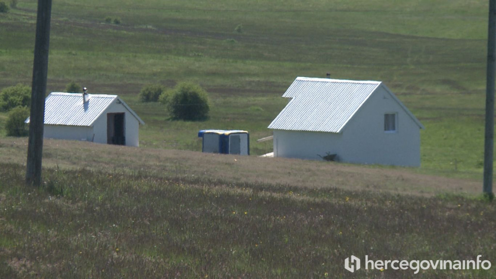 Tomislav Dragumilo stočar
