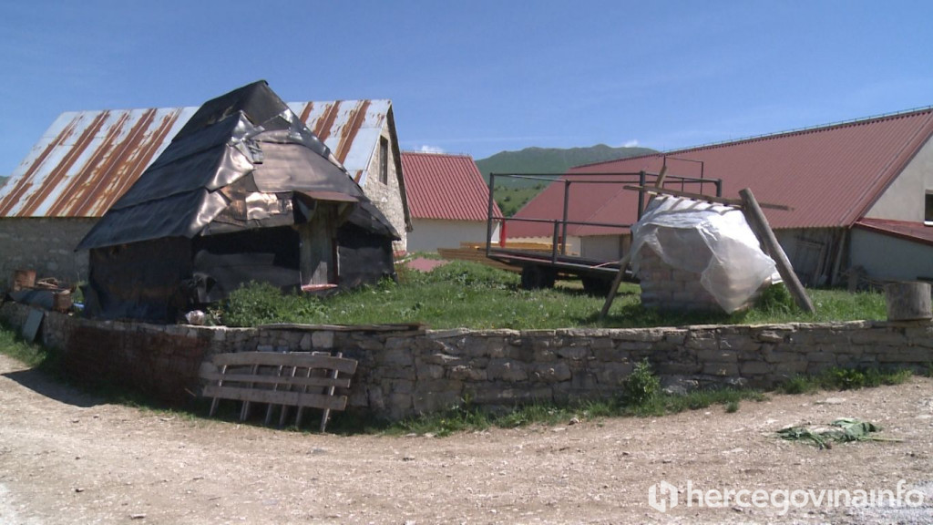 Tomislav Dragumilo stočar