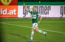 Zrinjski dovodi pojačanje iz Austrije