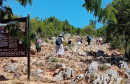 Medugorje 44. godišnjica Međugorje