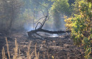 Posljedice požara u Ljubuškom 
