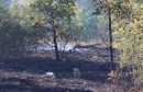 Posljedice požara u Ljubuškom 